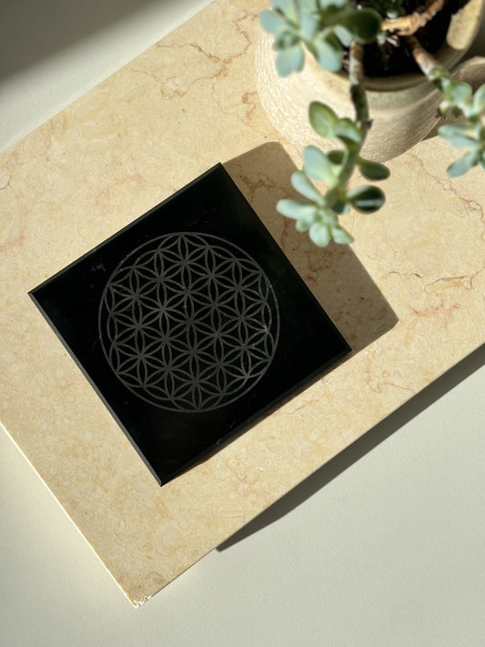 Shungite 'Flower of Life' Glass Stand